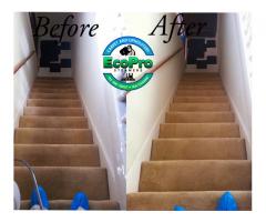 EcoPro Steamers Carpet and Upholstery Cleaning